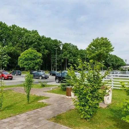 Forest * Timisoara