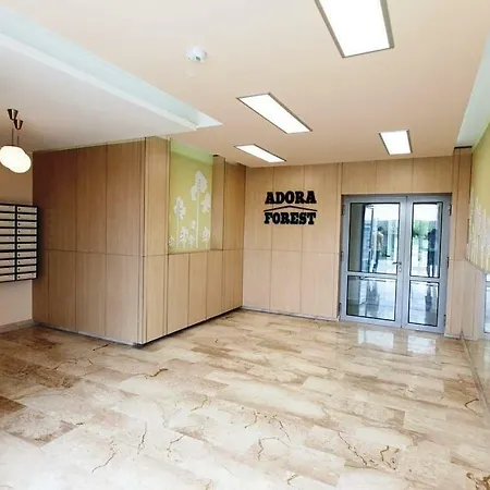 Apartment Forest Timisoara