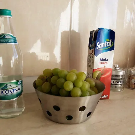 Forest Apartamento Timişoara