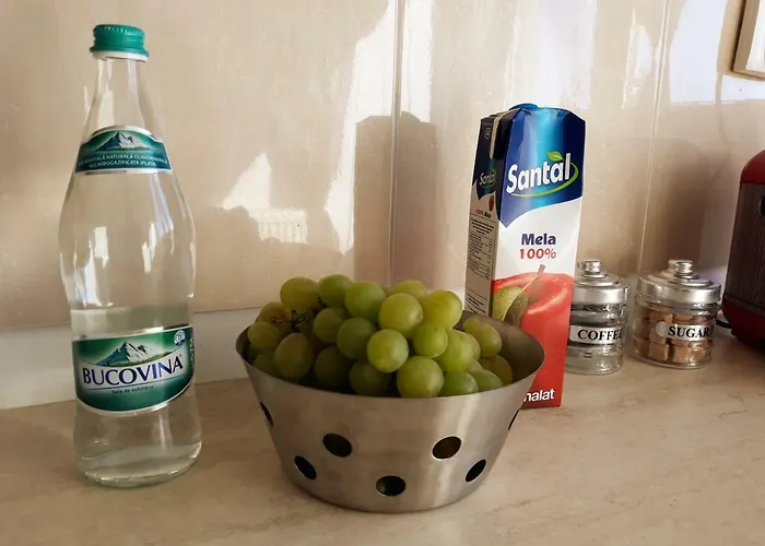 Forest Appartement Timişoara